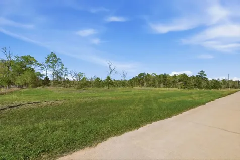 401 Big Buck Drive Cleveland TX 77328