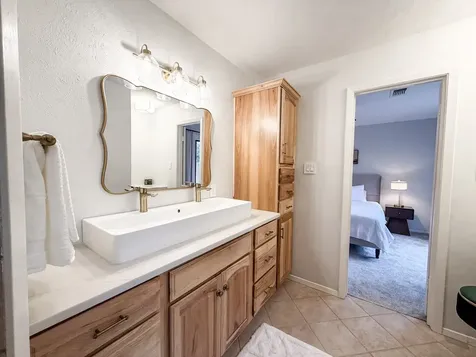 29 Pinewood Forest Court The Woodlands TX 77381