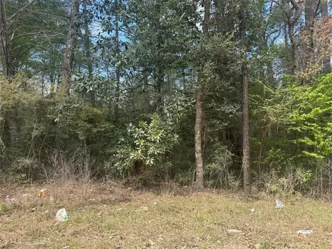 Tbd Big Foot Wallace Trail Livingston TX 77351