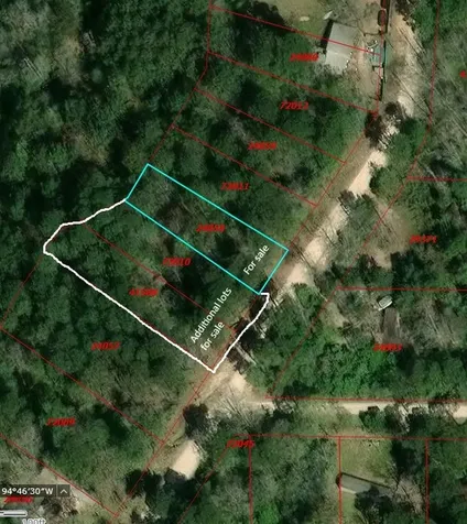 Tbd Big Foot Wallace Trail Livingston TX 77351