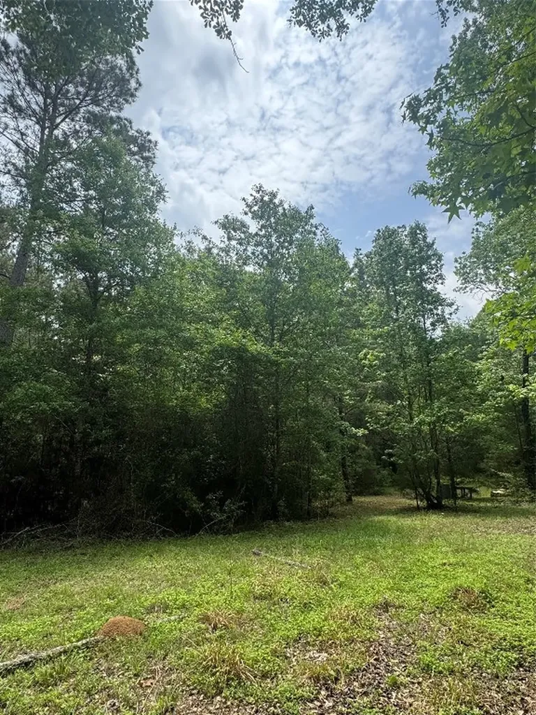 Tbd Possum Walk Lane Huntsville TX 77358