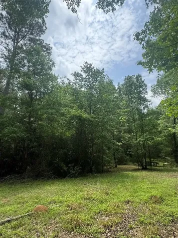 Tbd Possum Walk Lane Huntsville TX 77358