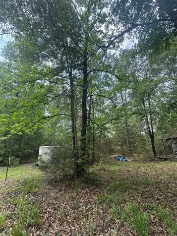 Tbd Possum Walk Lane Huntsville TX 77358