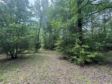 Tbd Possum Walk Lane Huntsville TX 77358