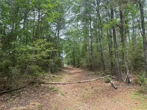 Tbd Possum Walk Lane Huntsville TX 77358