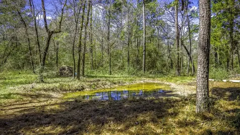 646 County Road 2100 N Crockett TX 75835