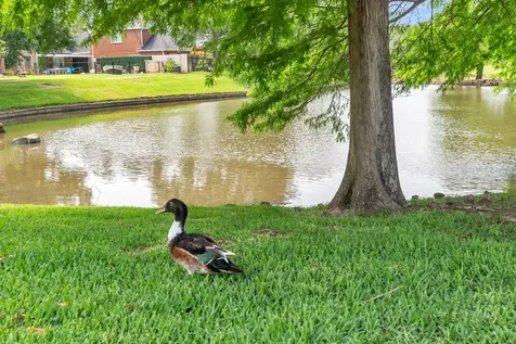 13426 Amber Queen Lane Houston TX 77041