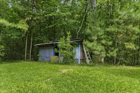300 James Lane Coldspring TX 77331