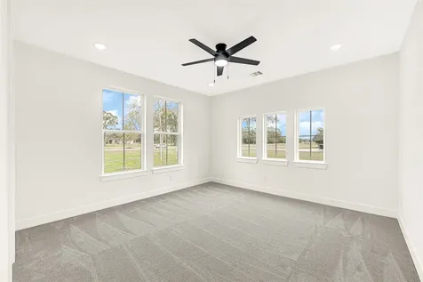 16915 Hamill Drive Rosharon TX 77583