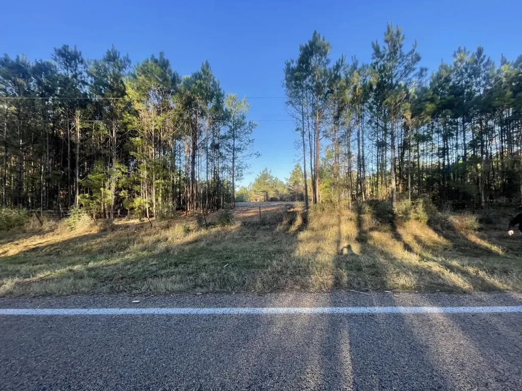 Lot 4 E Fm 942 Livingston TX 77351