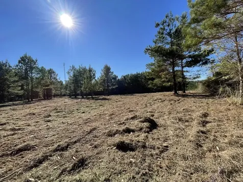 Lot 4 E Fm 942 Livingston TX 77351