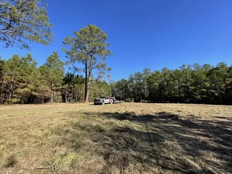 Lot 4 E Fm 942 Livingston TX 77351