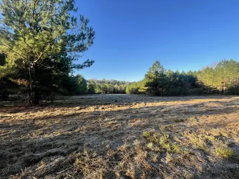 Lot 4 E Fm 942 Livingston TX 77351