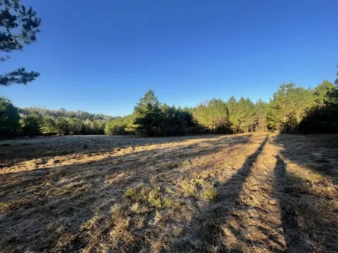 Lot 4 E Fm 942 Livingston TX 77351