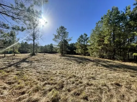 Lot 4 E Fm 942 Livingston TX 77351