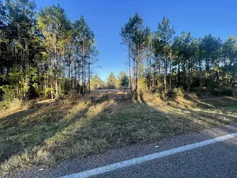 Lot 4 E Fm 942 Livingston TX 77351