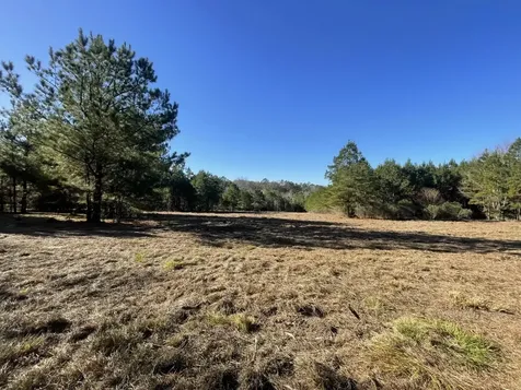 Lot 4 E Fm 942 Livingston TX 77351