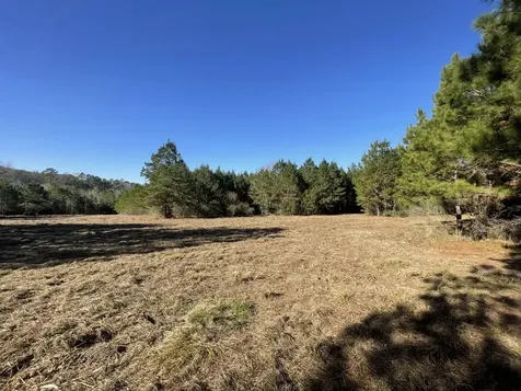Lot 4 E Fm 942 Livingston TX 77351