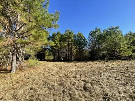 Lot 4 E Fm 942 Livingston TX 77351