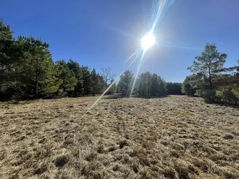 Lot 4 E Fm 942 Livingston TX 77351