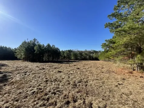 Lot 4 E Fm 942 Livingston TX 77351