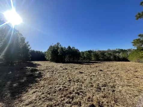 Lot 4 E Fm 942 Livingston TX 77351