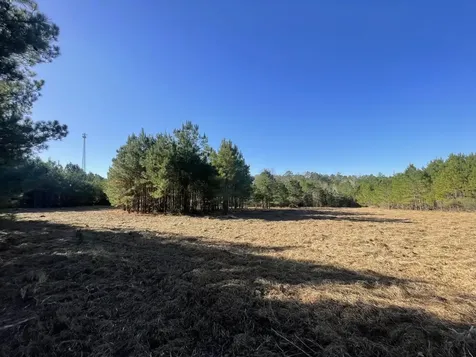 Lot 4 E Fm 942 Livingston TX 77351