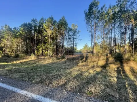 Lot 4 E Fm 942 Livingston TX 77351