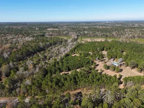 Lot 4 E Fm 942 Livingston TX 77351