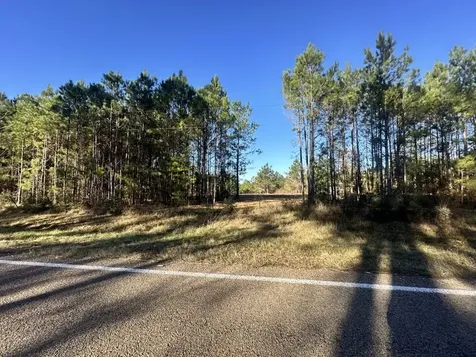 Lot 4 E Fm 942 Livingston TX 77351