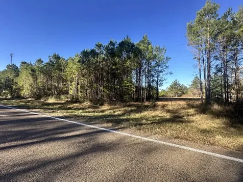 Lot 4 E Fm 942 Livingston TX 77351