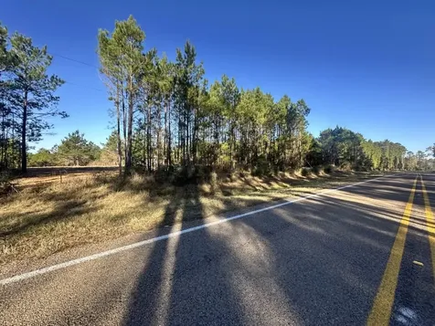 Lot 4 E Fm 942 Livingston TX 77351