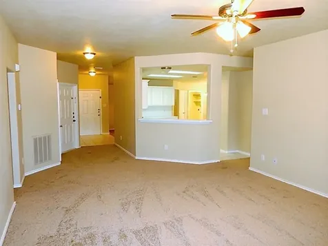 19711 Indian Cherry Forest Lane Cypress TX 77433