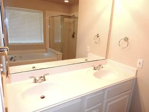 19711 Indian Cherry Forest Lane Cypress TX 77433