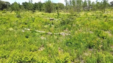 Tbd E State Highway 294 Elkhart TX 75839