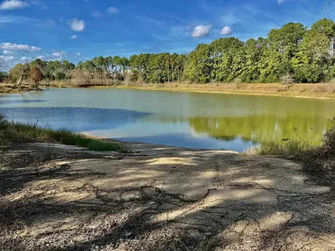 851 County Road 149 Alvin TX 77511
