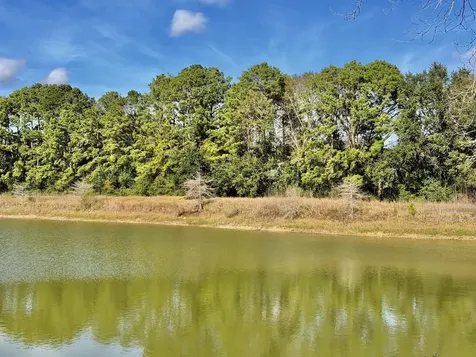 851 County Road 149 Alvin TX 77511