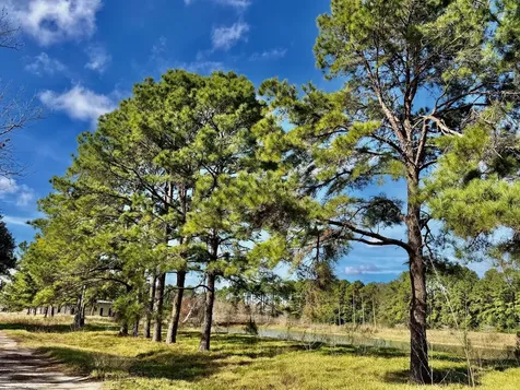 851 County Road 149 Alvin TX 77511