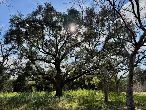 851 County Road 149 Alvin TX 77511