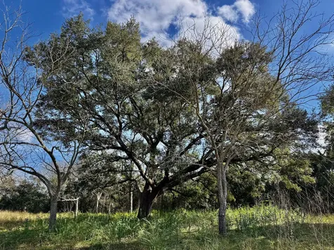 851 County Road 149 Alvin TX 77511