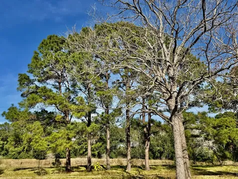 851 County Road 149 Alvin TX 77511