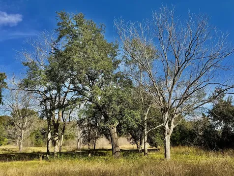 851 County Road 149 Alvin TX 77511
