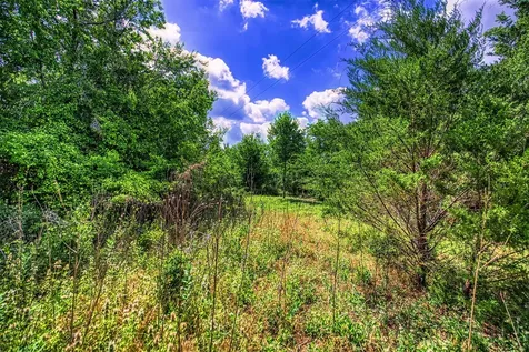 Lot 7 Wonder Hill Road Chappell Hill TX 77426