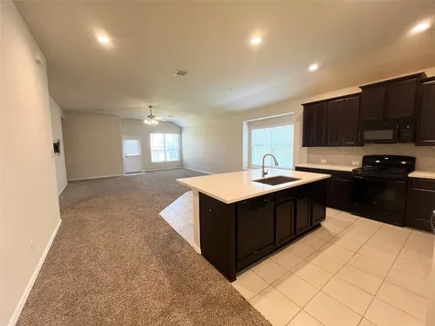 1507 Bella Garden Court Spring TX 77373