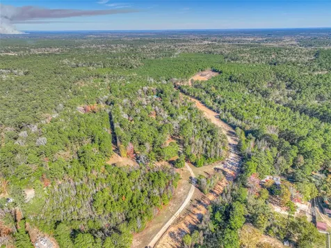 300 L Green Road Cleveland TX 77328