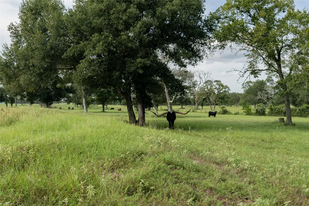 000 Aztec Lane New Ulm TX 78950