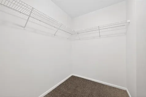 22938 Sugar Bear Drive Spring TX 77389
