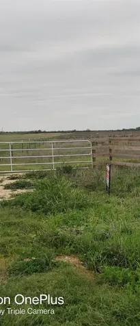 Tbd Fm 2761 Alleyton TX 78933