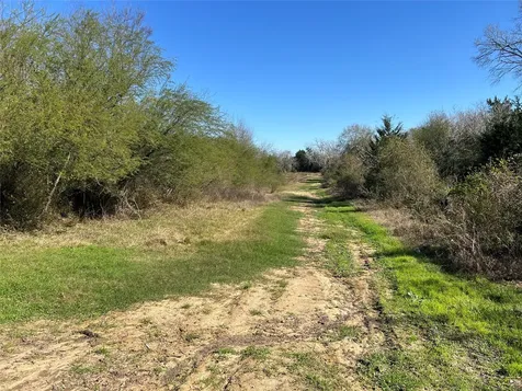 Tbd Winding Branch Lane Chappell Hill TX 77426