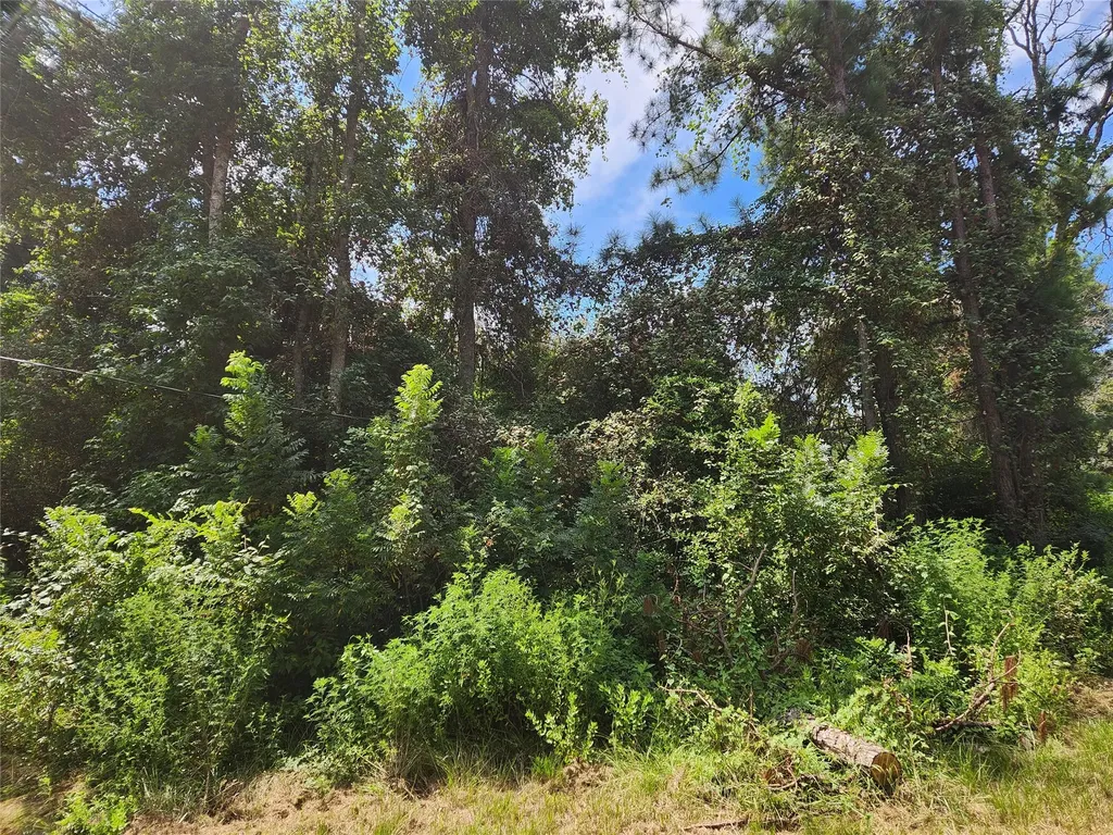 Lot 27 Mayhaw Lane Plantersville TX 77363
